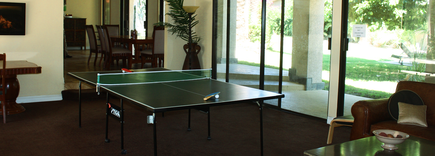 axis east ping pong table